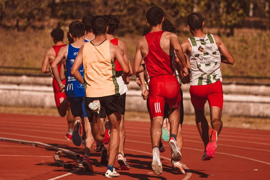 樊振东全运会备战状态揭秘，恢复情况分析引发关注